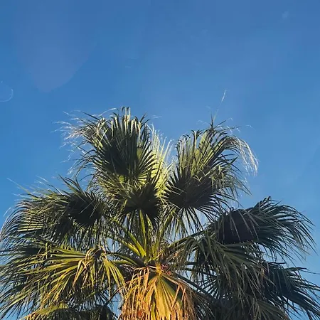 Apartamento Palm Blues