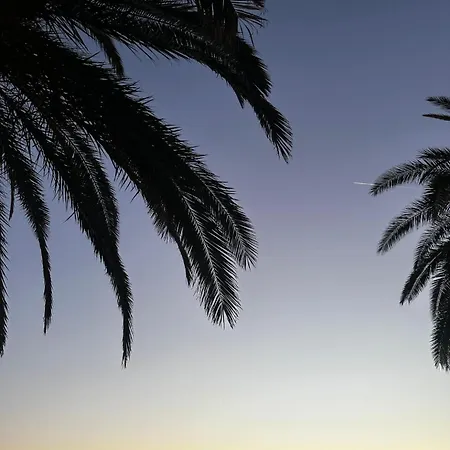 Palm Blues Appartement
