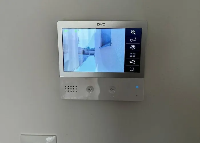 Palm Blues וודיצה