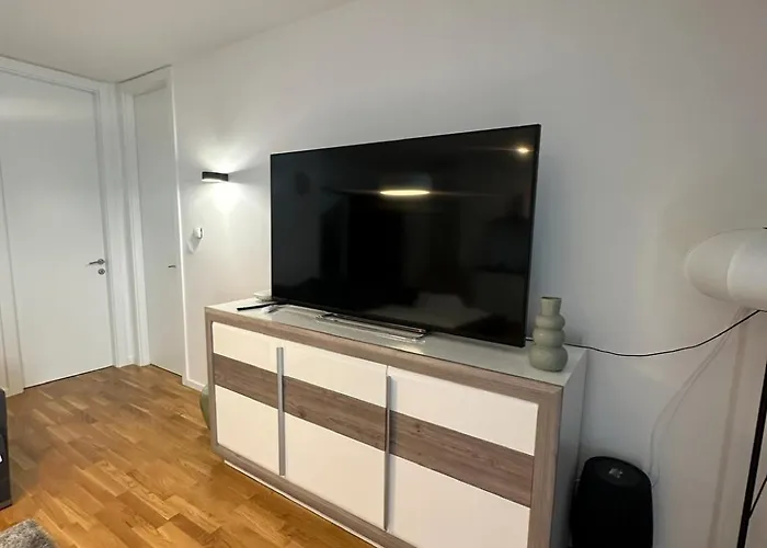 Palm Blues וודיצה