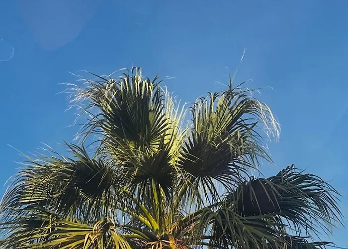 Appartement Palm Blues